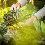 Curso Permacultura conocer el ambiente